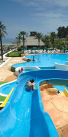 GYPSOPHILA CLUB MARINE