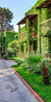 RIAD AJARIF BY RIAD TAWARGIT