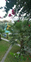 Hammamet Garden