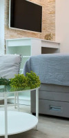 Hedera Estate, Hedera Studio 4