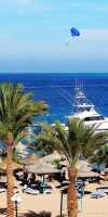 HIPOTELS PLAYA DE PALMA PALACE