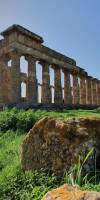 Hotel Admeto