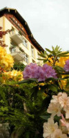 Hotel Alpenblick