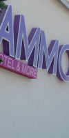 Hotel Ammon