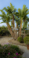 Hotel Capizzo