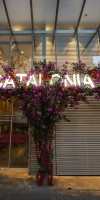 Hotel Catalonia Square