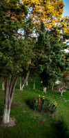 HOTEL CORINA