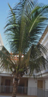 Hotel Da Luz