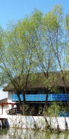 Casa dintre Salcii