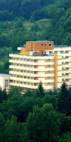 Hotel Germisara