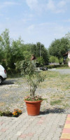 Pensiunea Iris