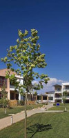 Hotel Istion Club