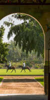Hotel Melia Desert Palm Member of Melia Collection