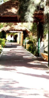 SENSES QUINTA AVENIDA BY ARTISAN ADULTS ONLY