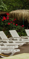Hotel Perunika