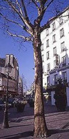 HOTEL REGYN'S MONTMARTRE