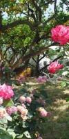 Hotel Villa Tre Sorelle
