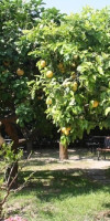 Hotel Villa Tre Sorelle