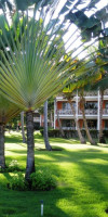 Vik Hotel Arena Blanca
