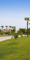 Kouros Palace