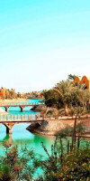 Sheraton Miramar El Gouna