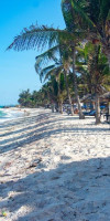 Jacaranda Indian Ocean Beach Club