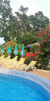 The Blue Ivy Hotel and Suites