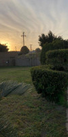 Jimmys Garden