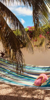 Karibu Aruba