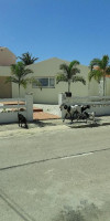 Karibu Aruba