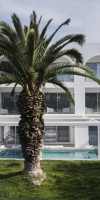 Kassandra Palace Seaside Resort