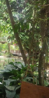 Krabi Romantic Home