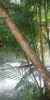 Krabi Romantic Home