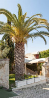 KRIOPIGI HOTEL - KRIOPIGI
