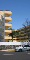 LAS CAMELIAS