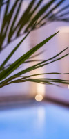 Laz' Hotel Spa Urbain Paris