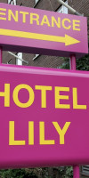 Lily Hotel