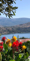 Liostasi Retreat Kefalonia