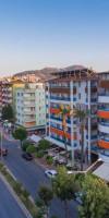 Lonicera City