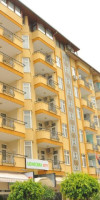 LONICERA CITY KLEOPATRA