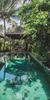 Luwak Estate
