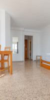 Magalluf Playa Apartments - Adults Only