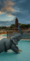Magic Natura Animal, Waterpark Polynesian Lodge Resort