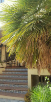 Mamboo Hotel Cala Ratjada