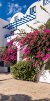 Margarenia Santorini