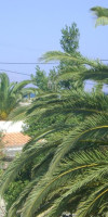 Mariliza Beach