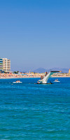 Mediterranean