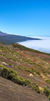 Meliá Jardines Del Teide