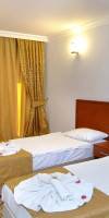 FAMILY TREEZ PREMIUM APARTMENTS