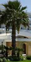 MITSIS GRAND HOTEL BEACH